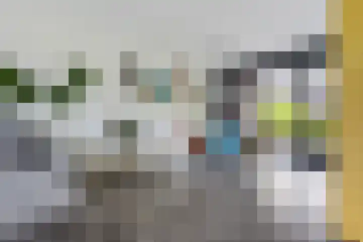 Vuurvlinder 21 Sneek thumbnail 6