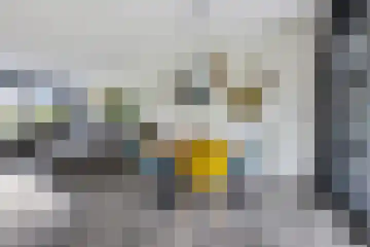 Vuurvlinder 21 Sneek thumbnail 7
