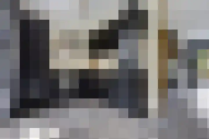 Vuurvlinder 21 Sneek thumbnail 8