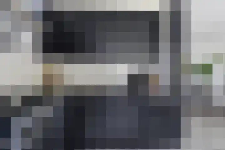 Vuurvlinder 21 Sneek thumbnail 9