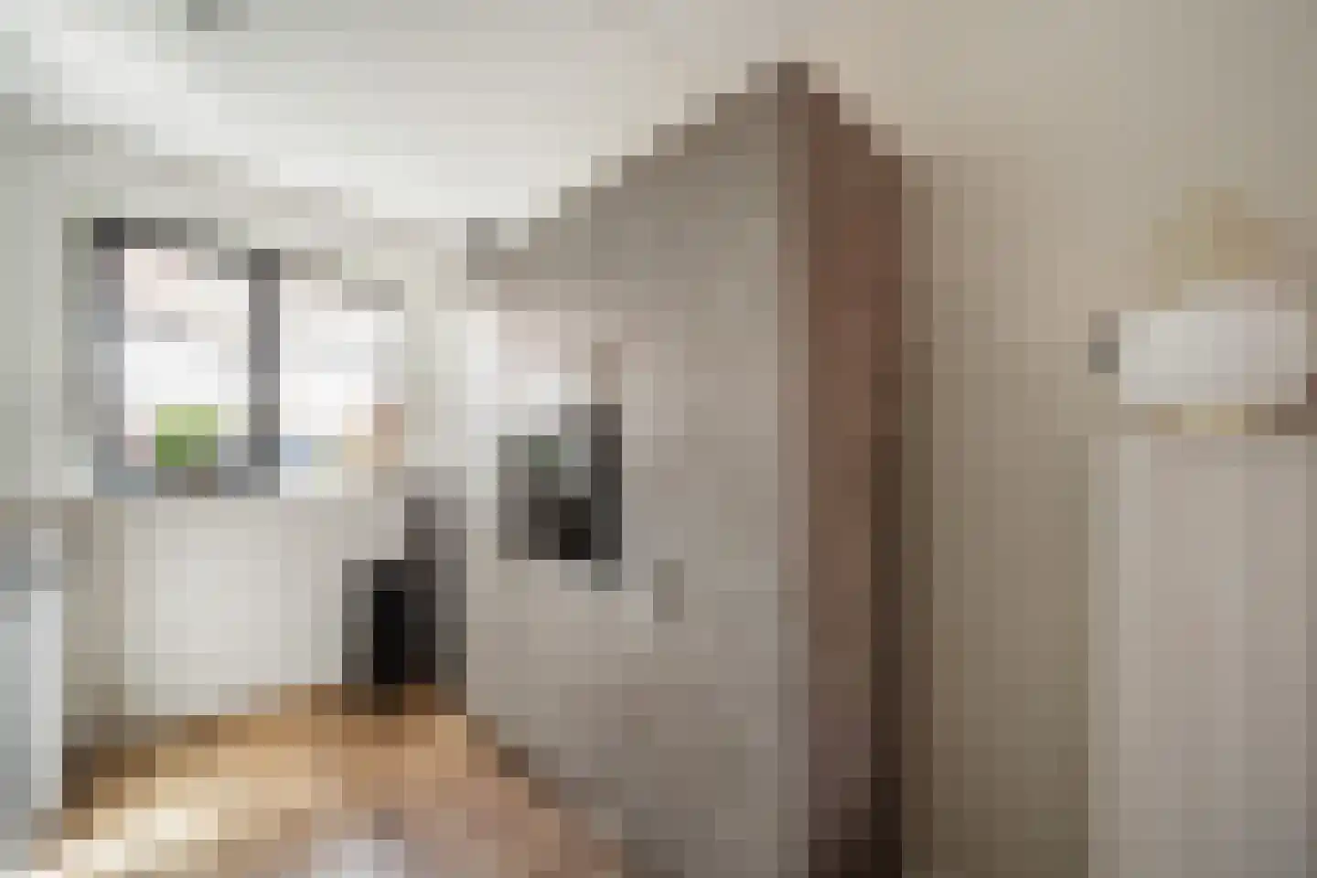 Vuurvlinder 23 's-Gravenzande thumbnail 13