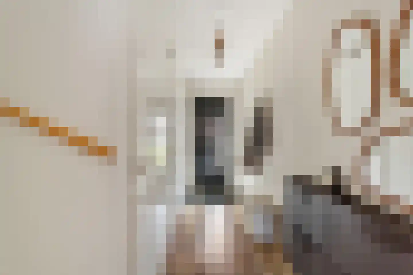 Vuurvlinder 23 's-Gravenzande thumbnail 15