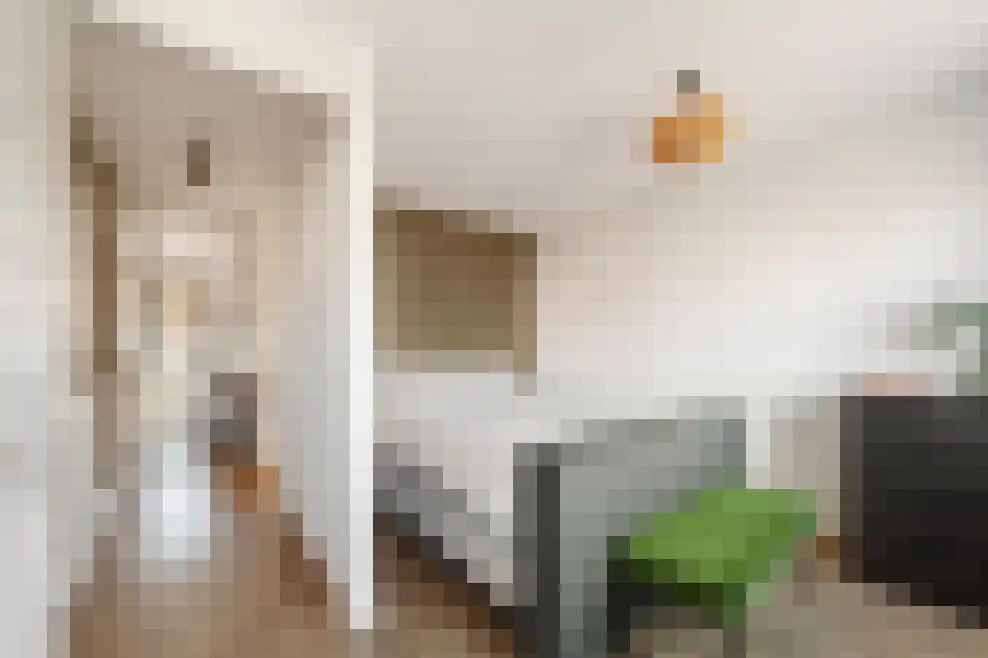 Vuurvlinder 23 's-Gravenzande thumbnail 20
