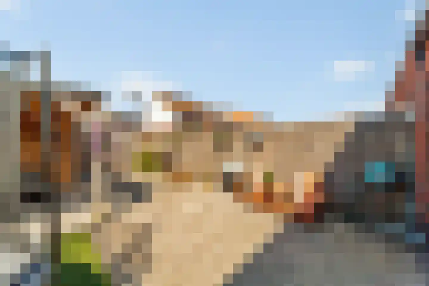Vuurvlinder 23 's-Gravenzande thumbnail 36