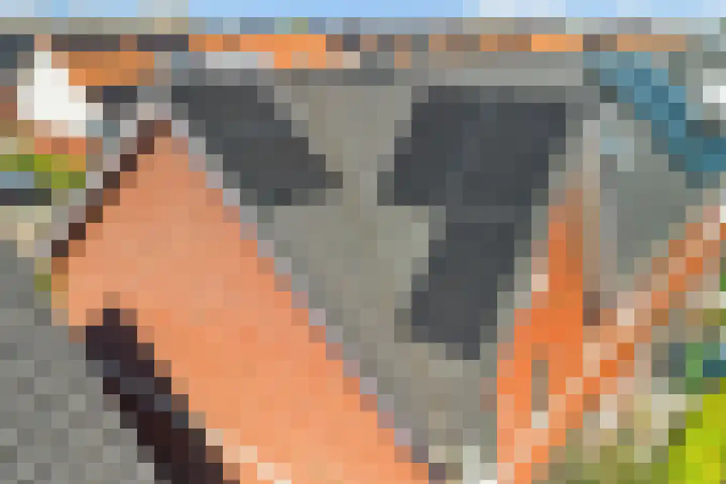 Vuurvlinder 23 's-Gravenzande thumbnail 41