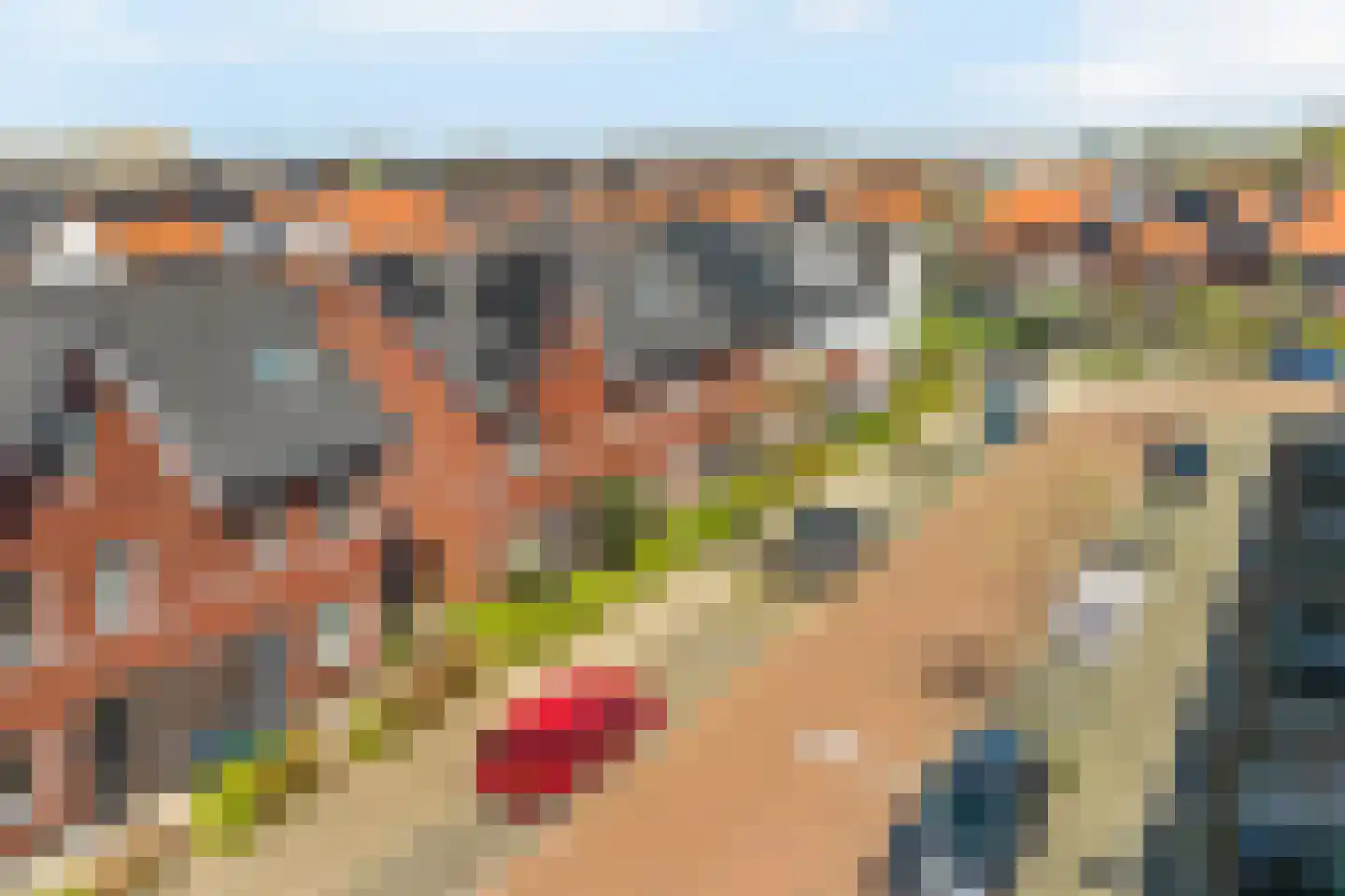 Vuurvlinder 23 's-Gravenzande thumbnail 42