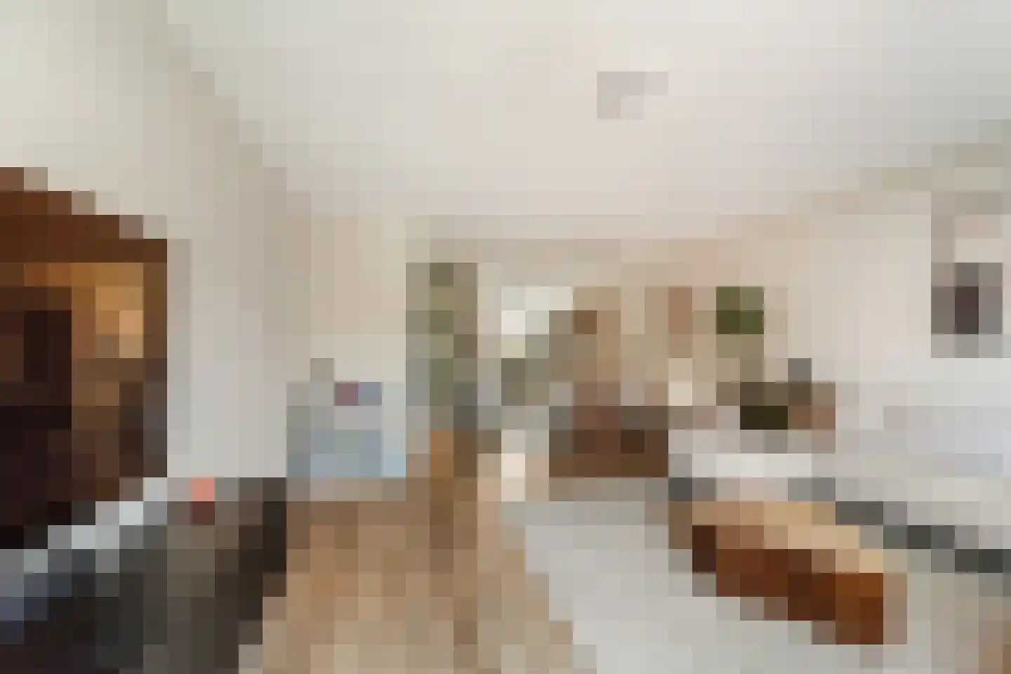 Vuurvlinder 23 's-Gravenzande thumbnail 8