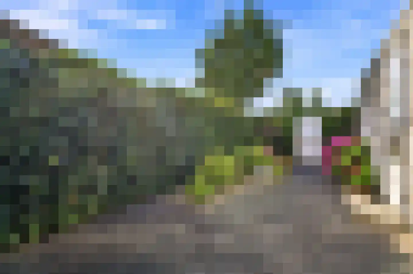 Vuurvlinder 24 Apeldoorn thumbnail 15