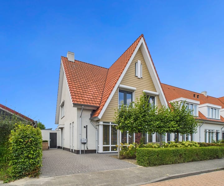 Vuurvlinder 25 in Terneuzen Foto