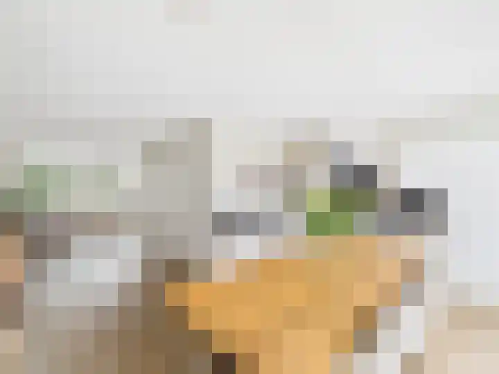 Vuurvlinder 25 Terneuzen thumbnail 12
