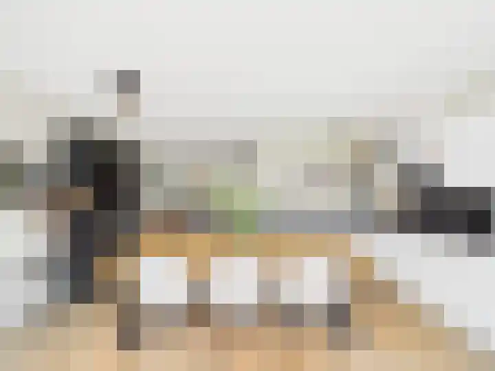 Vuurvlinder 25 Terneuzen thumbnail 13