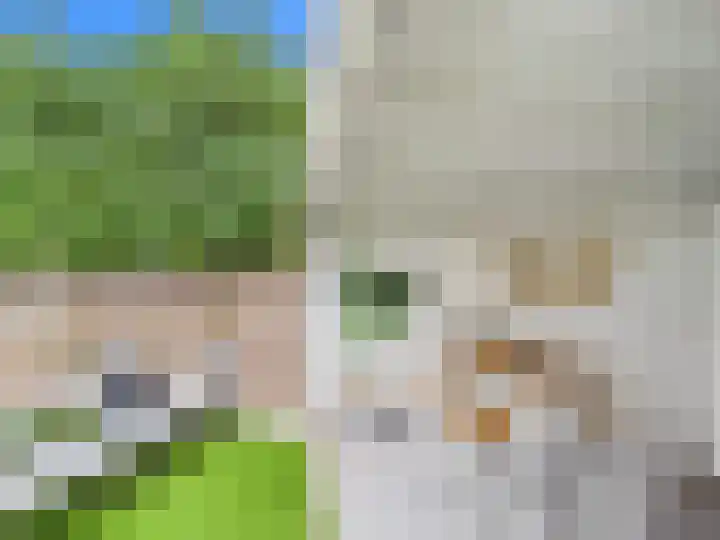 Vuurvlinder 25 Terneuzen thumbnail 41