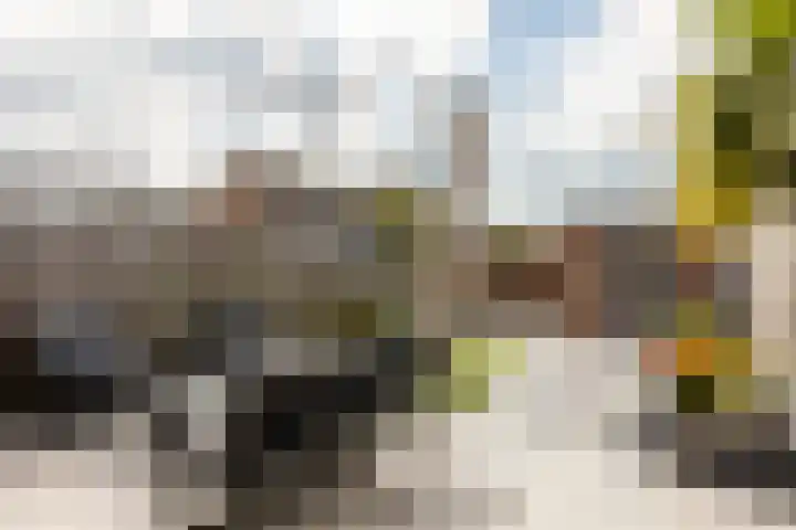 Vuurvlinder 28 Hellevoetsluis thumbnail 34