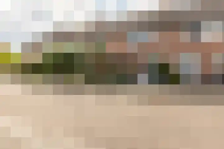 Vuurvlinder 28 Hellevoetsluis thumbnail 6