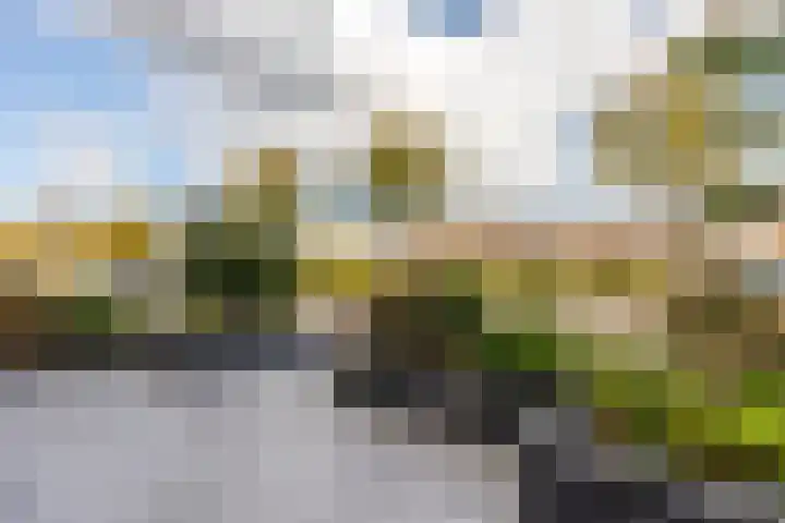 Vuurvlinder 28 Hellevoetsluis thumbnail 7