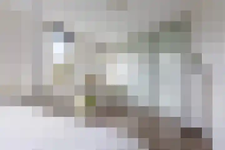 Vuurvlinder 30 Apeldoorn thumbnail 26