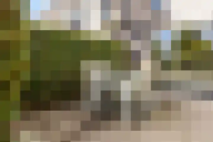 Vuurvlinder 30 Apeldoorn thumbnail 28