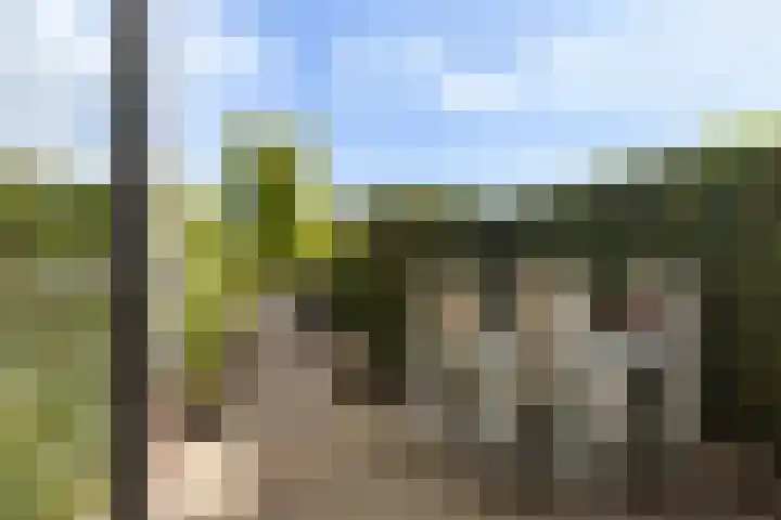 Vuurvlinder 30 Apeldoorn thumbnail 29