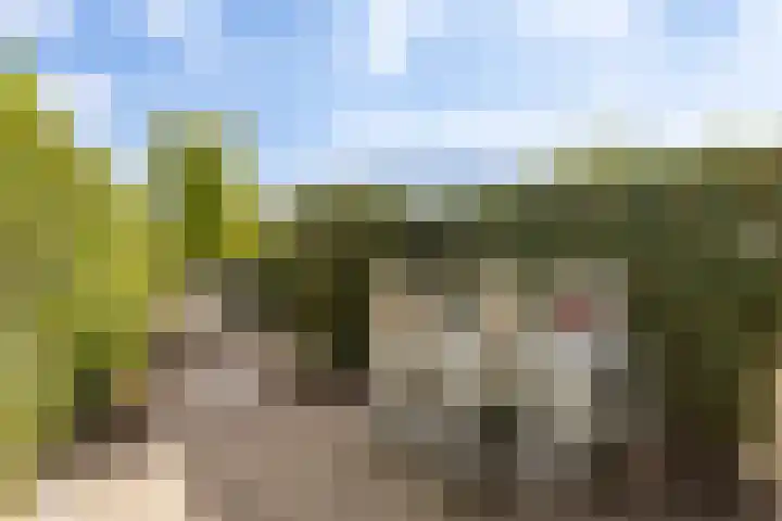 Vuurvlinder 30 Apeldoorn thumbnail 30