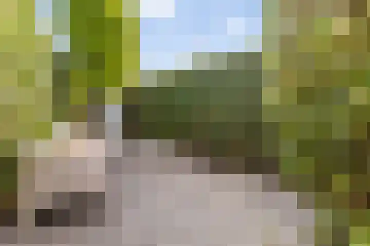 Vuurvlinder 30 Apeldoorn thumbnail 31