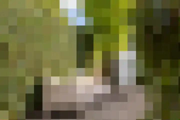 Vuurvlinder 30 Apeldoorn thumbnail 32
