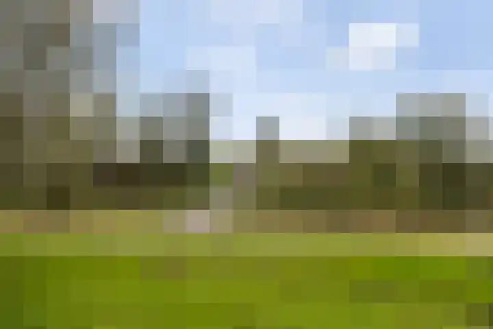 Vuurvlinder 30 Apeldoorn thumbnail 34