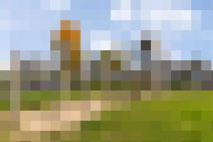 Vuurvlinder 30 Apeldoorn thumbnail 35