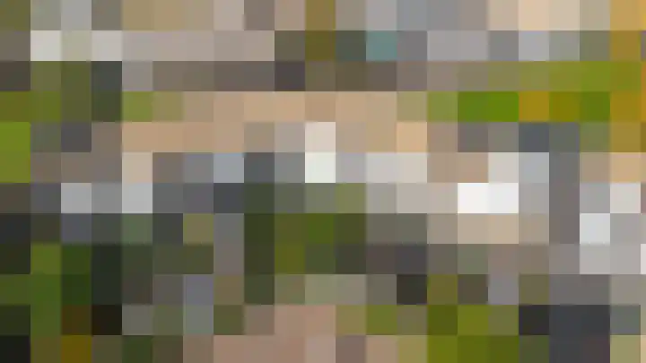Vuurvlinder 30 Apeldoorn thumbnail 37