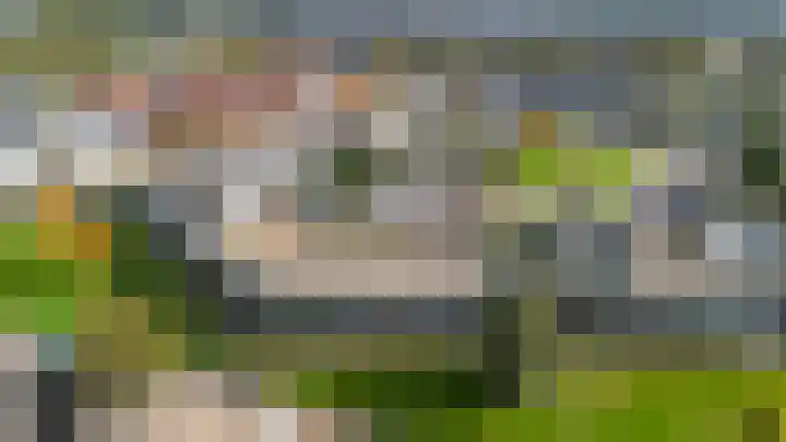 Vuurvlinder 30 Apeldoorn thumbnail 38