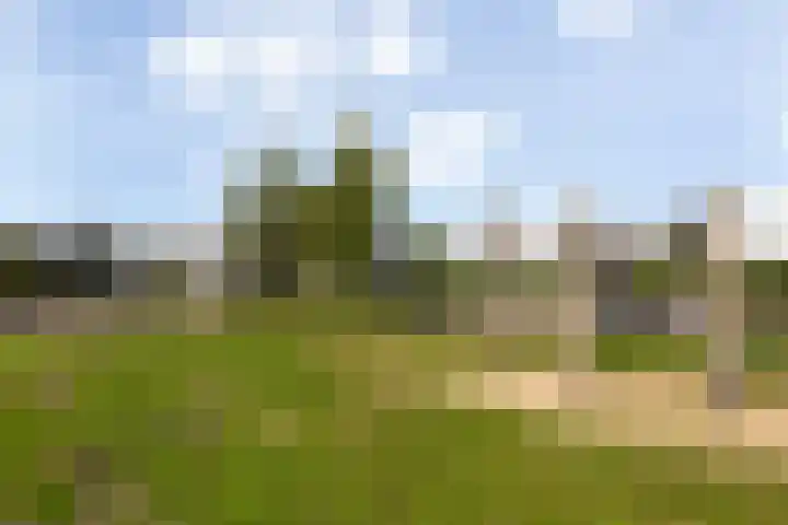 Vuurvlinder 30 Apeldoorn thumbnail 39
