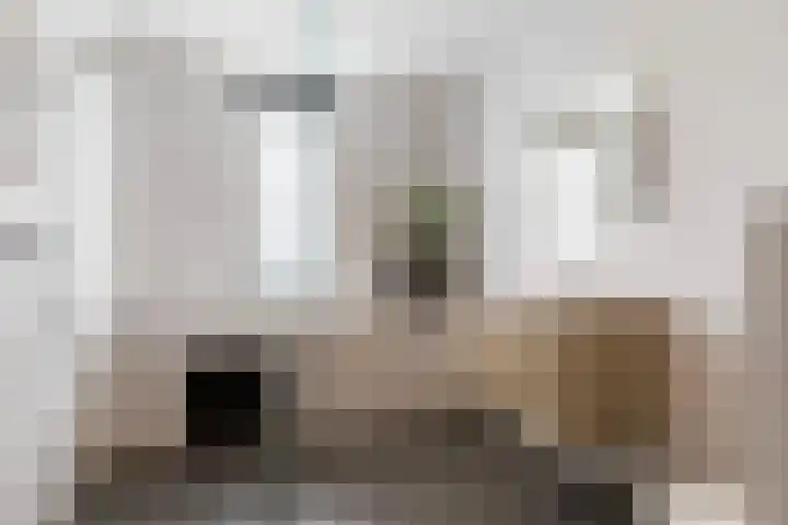 Vuurvlinder 30 Apeldoorn thumbnail 4