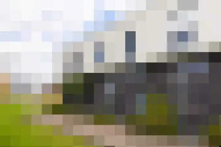 Vuurvlinder 30 Apeldoorn thumbnail 40