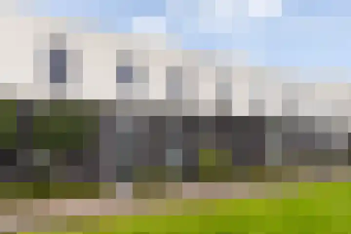 Vuurvlinder 30 Apeldoorn thumbnail 41