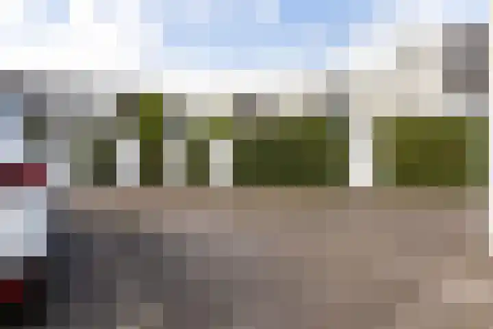 Vuurvlinder 30 Apeldoorn thumbnail 42