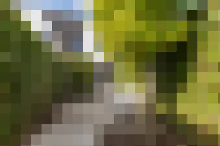 Vuurvlinder 30 Apeldoorn thumbnail 5