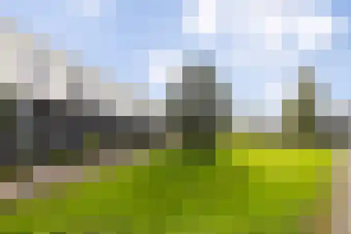 Vuurvlinder 30 Apeldoorn thumbnail 6