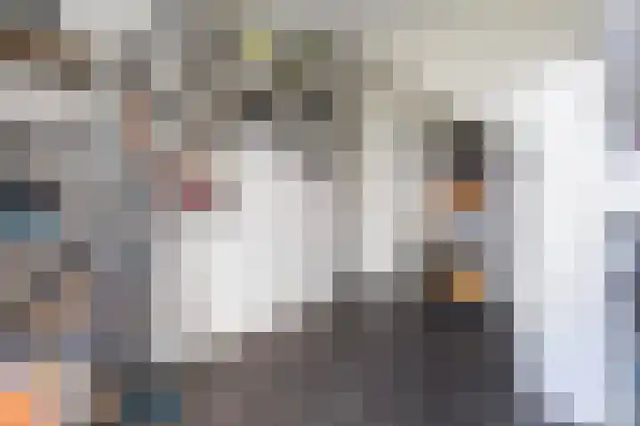 Vuurvlinder 30 Apeldoorn thumbnail 9