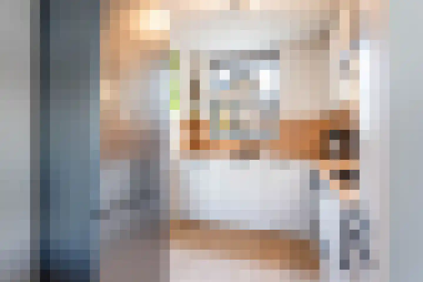 Vuurvlinder 30 Breda thumbnail 15