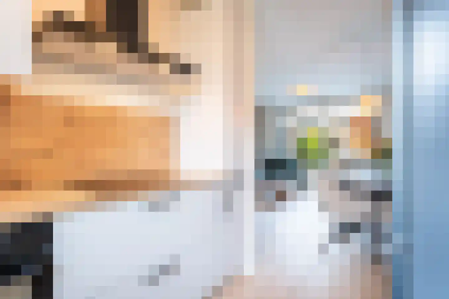 Vuurvlinder 30 Breda thumbnail 16