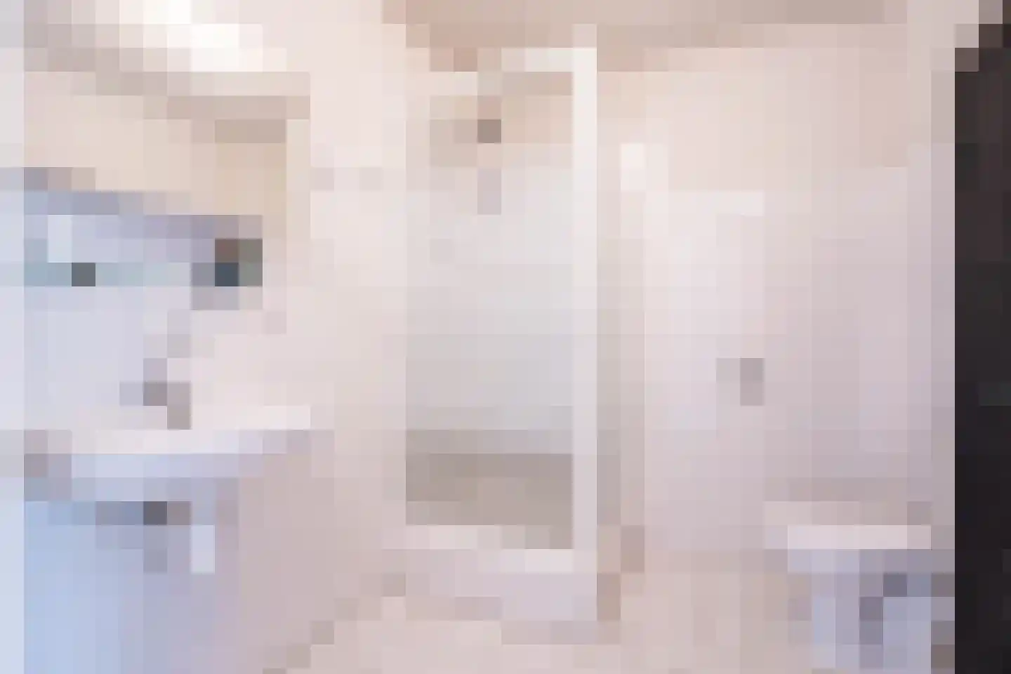 Vuurvlinder 30 Breda thumbnail 24