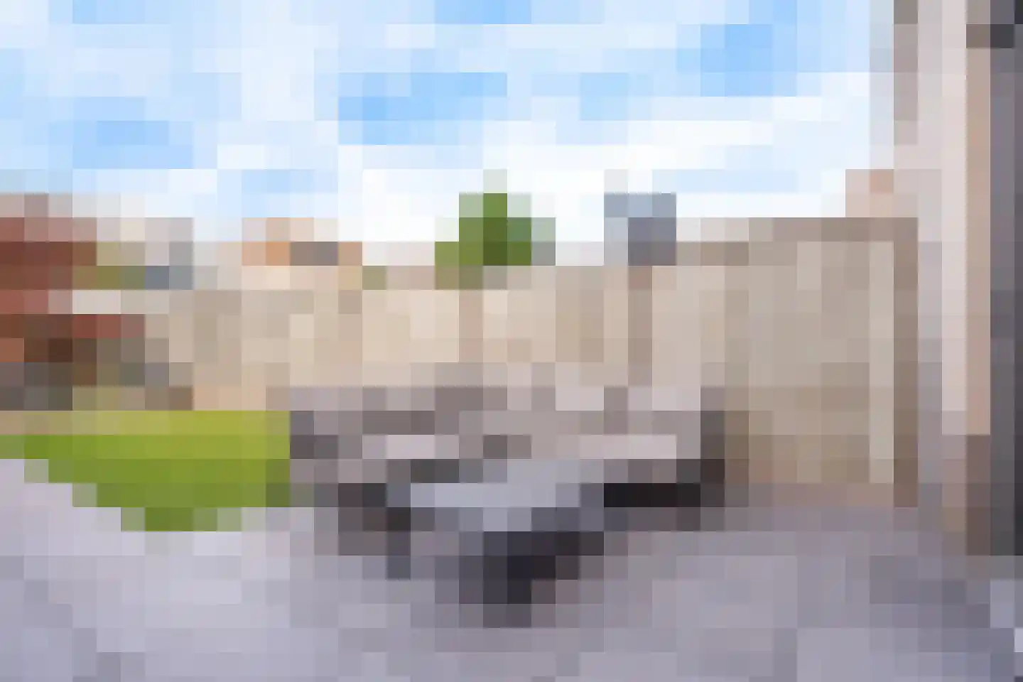Vuurvlinder 30 Breda thumbnail 27
