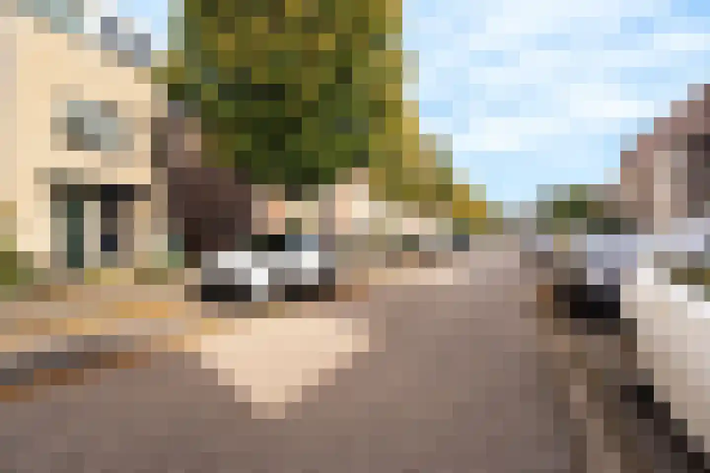 Vuurvlinder 30 Breda thumbnail 29
