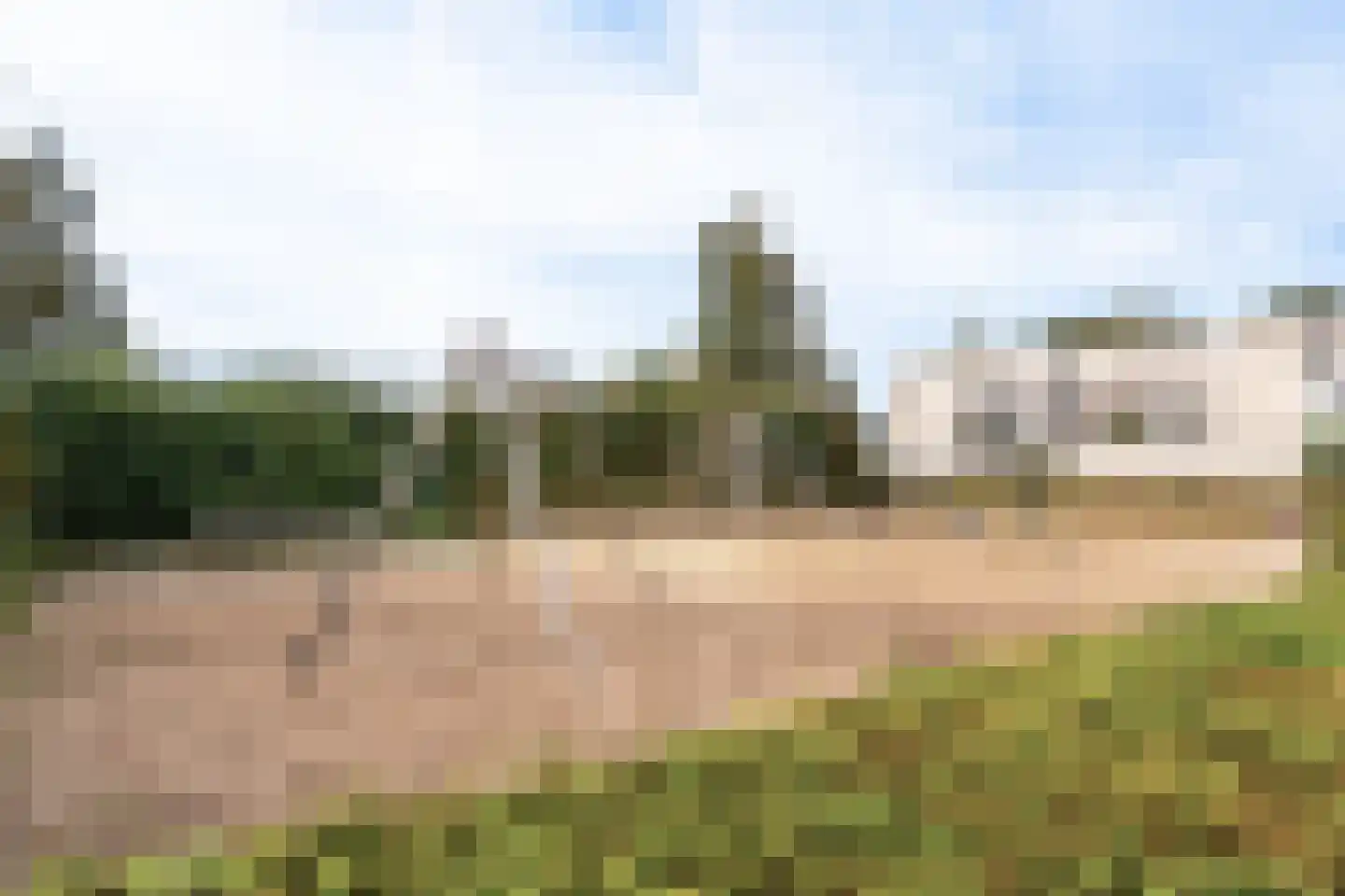 Vuurvlinder 30 Breda thumbnail 31
