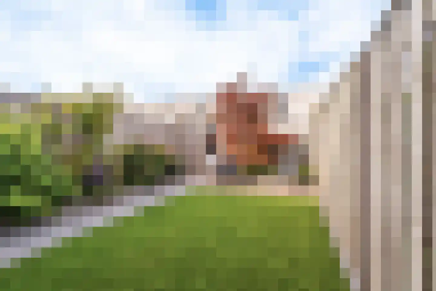 Vuurvlinder 30 Breda thumbnail 4