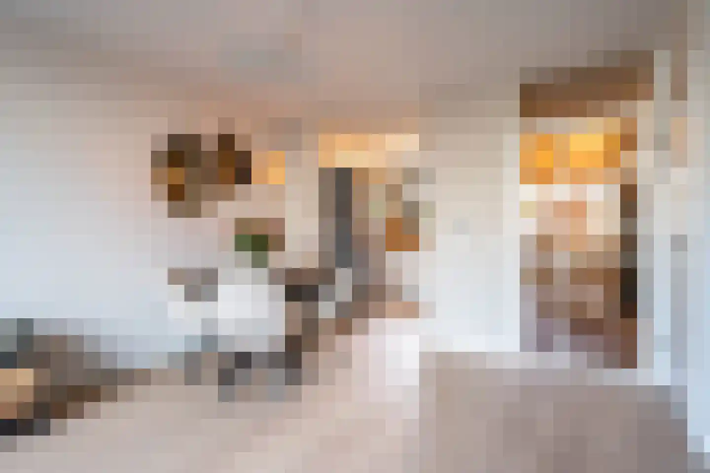 Vuurvlinder 30 Breda thumbnail 7