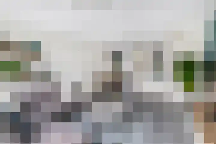Vuurvlinder 30 's-Gravenzande thumbnail 12
