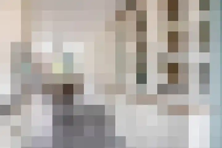 Vuurvlinder 30 's-Gravenzande thumbnail 15