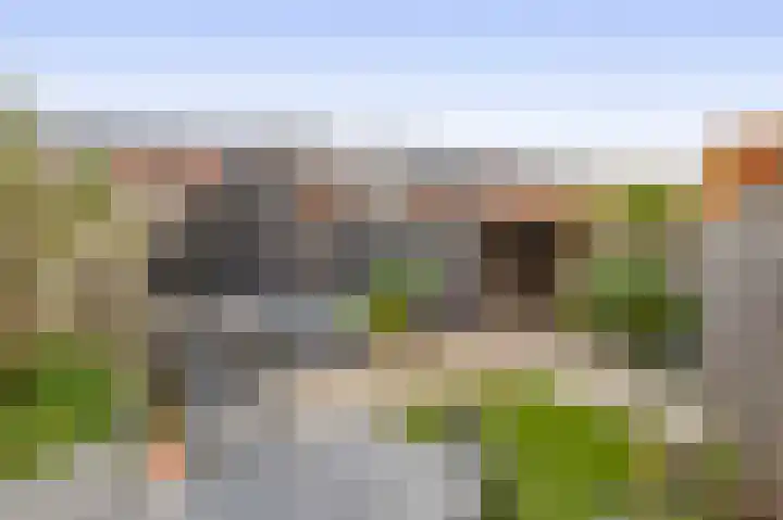 Vuurvlinder 30 's-Gravenzande thumbnail 18