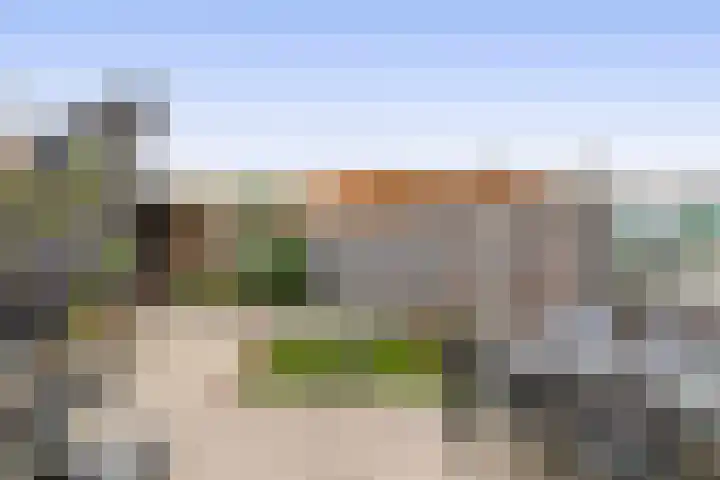 Vuurvlinder 30 's-Gravenzande thumbnail 19