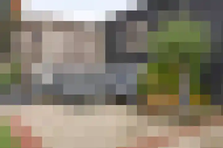 Vuurvlinder 30 's-Gravenzande thumbnail 21
